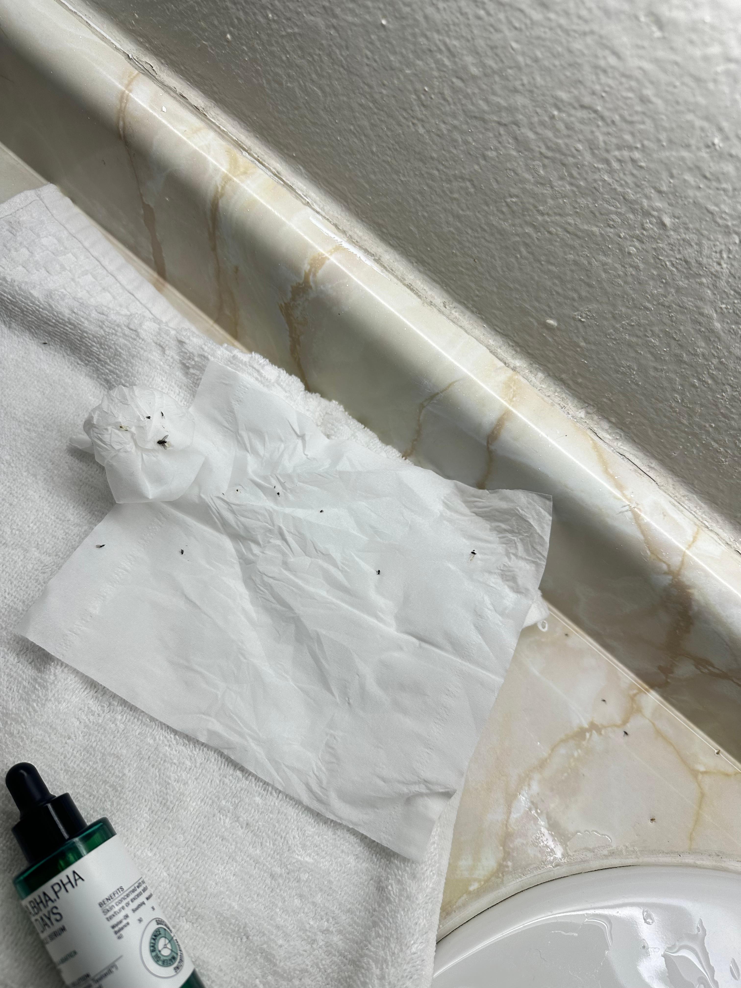 This is barely anything