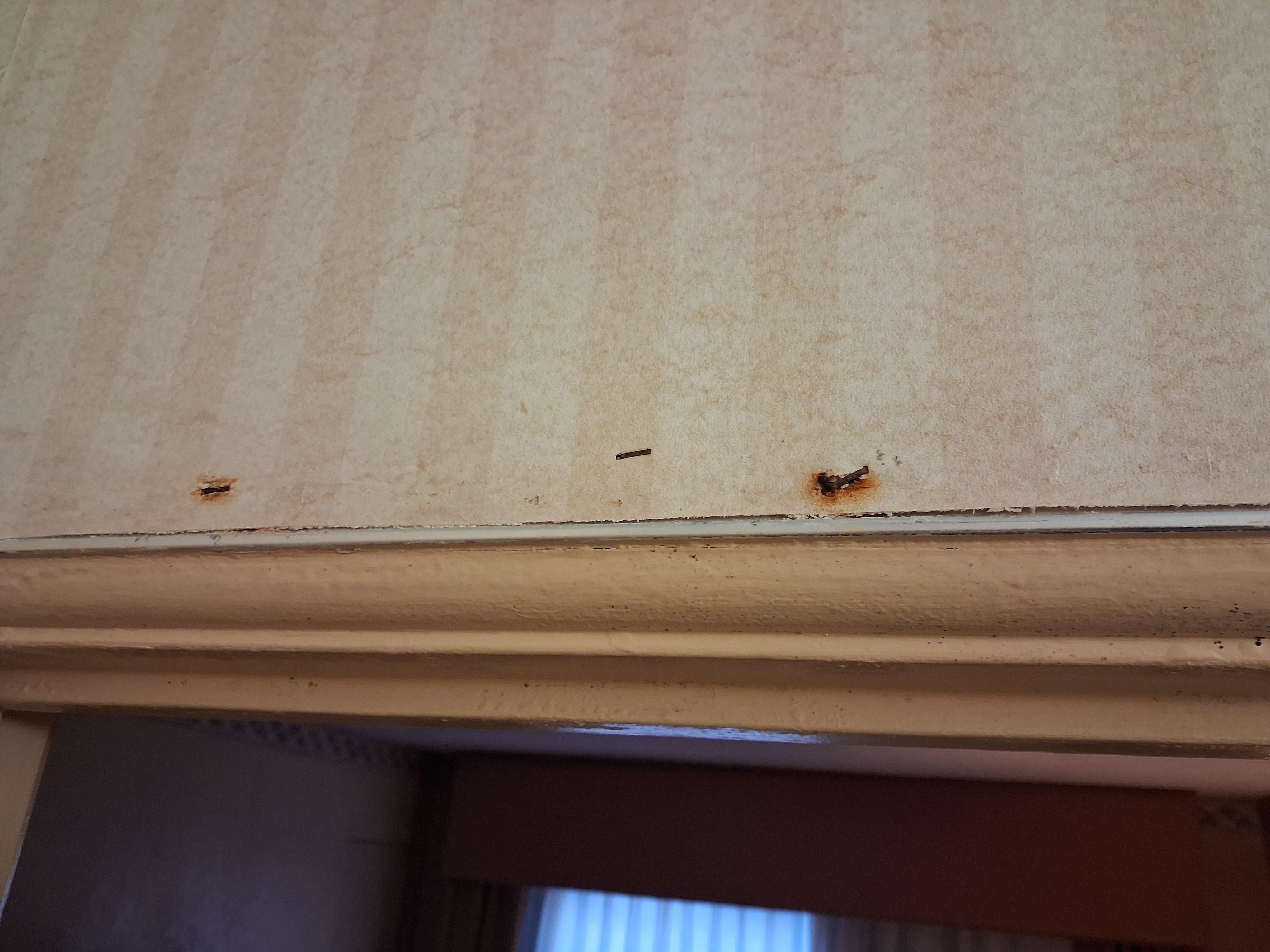 Bathroom wallpaper staples