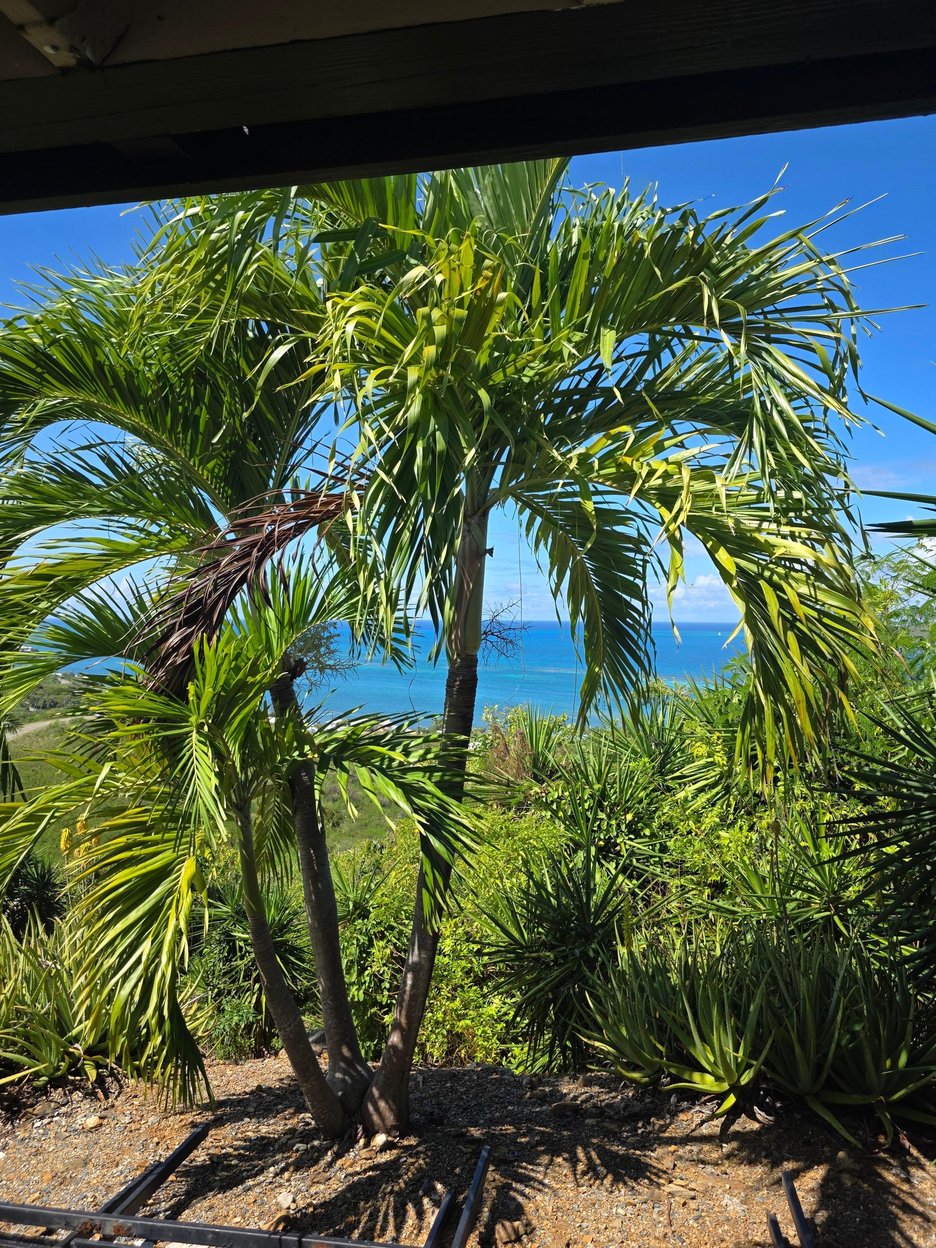 Another view from the carport