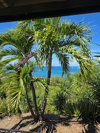 Another view from the carport