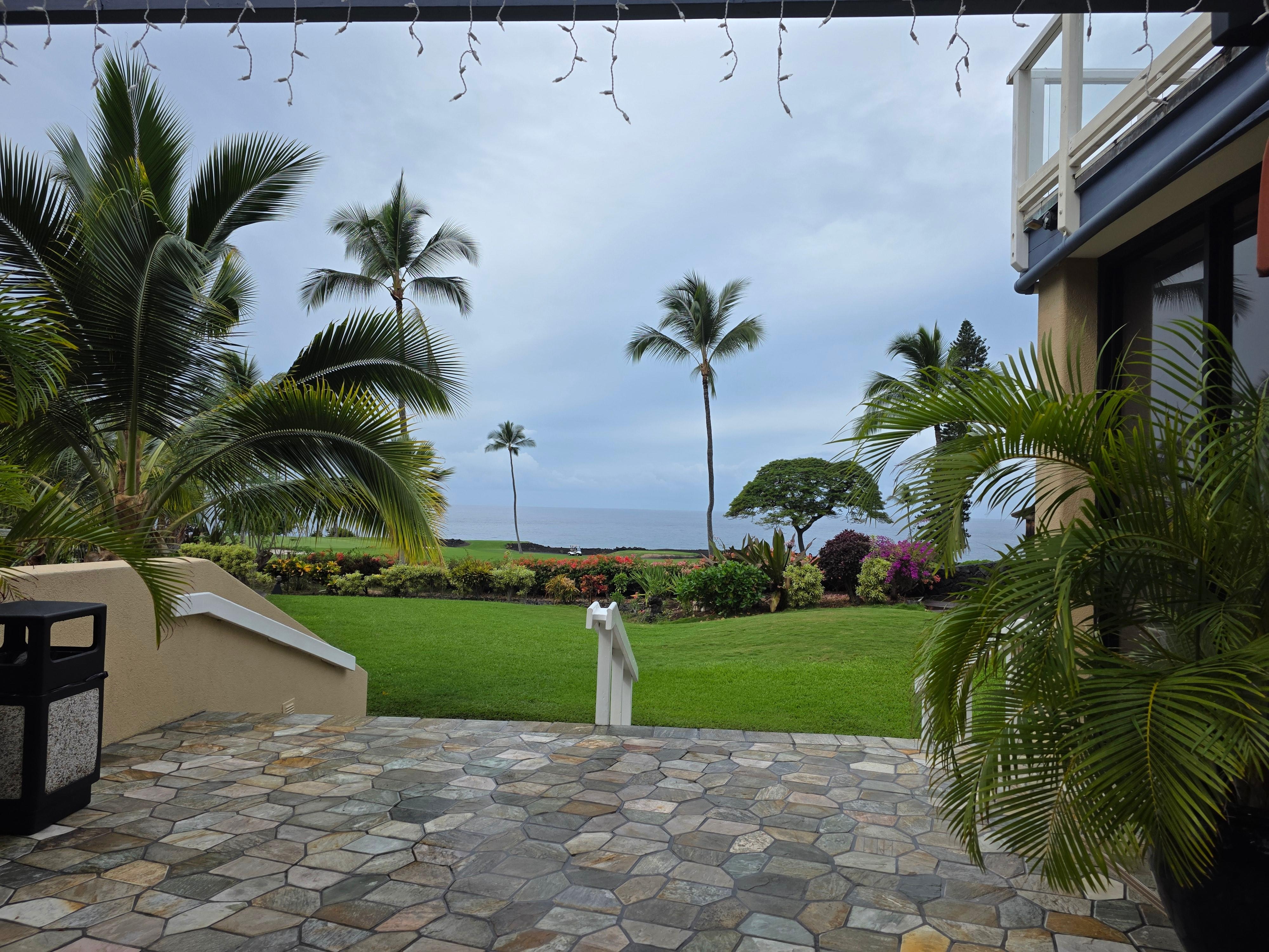 Our view from the lobby is.