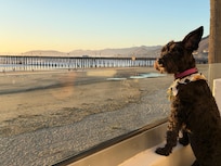 She really enjoyed the oceanfront room.