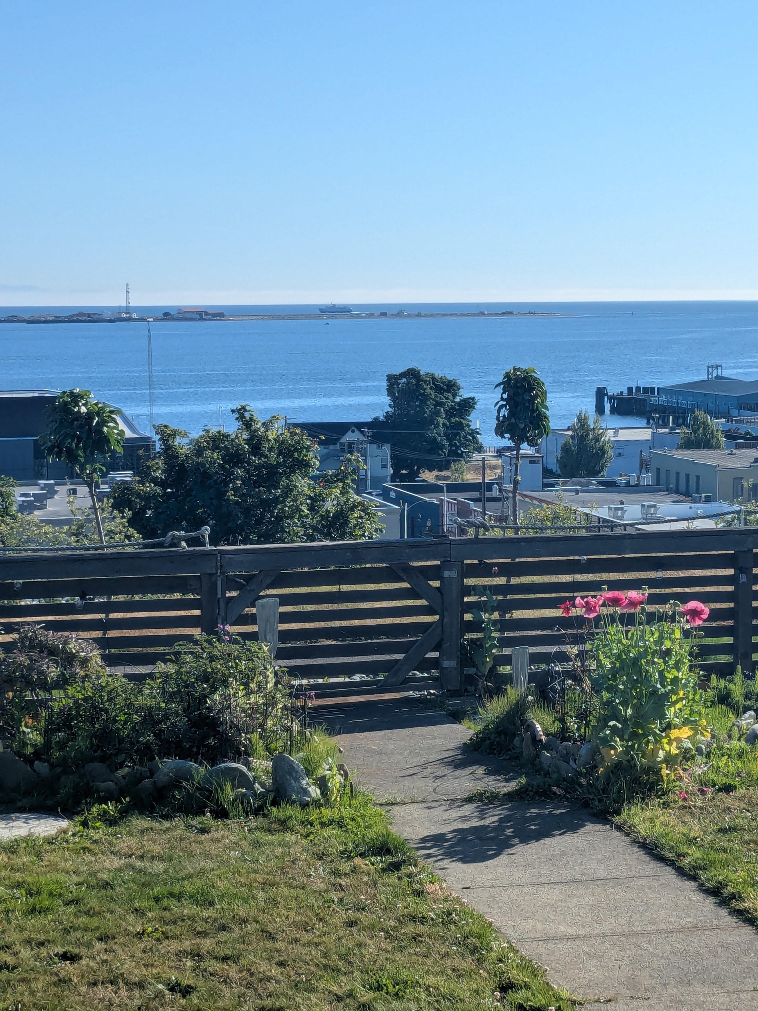 View from the porch into the front garden: the Strait of Juan de Fuca.