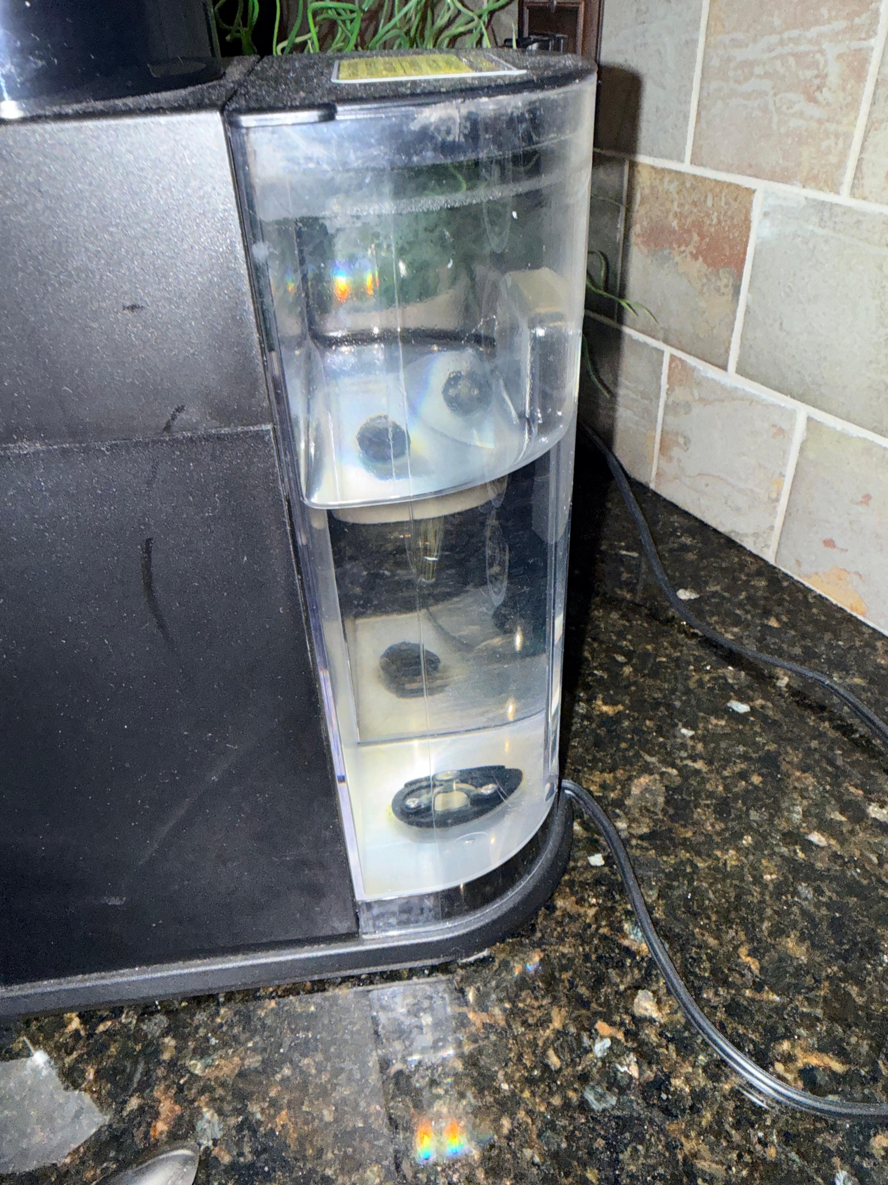 No filtration and needs to be descaled.