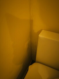 Schimmel neben dem Bett
