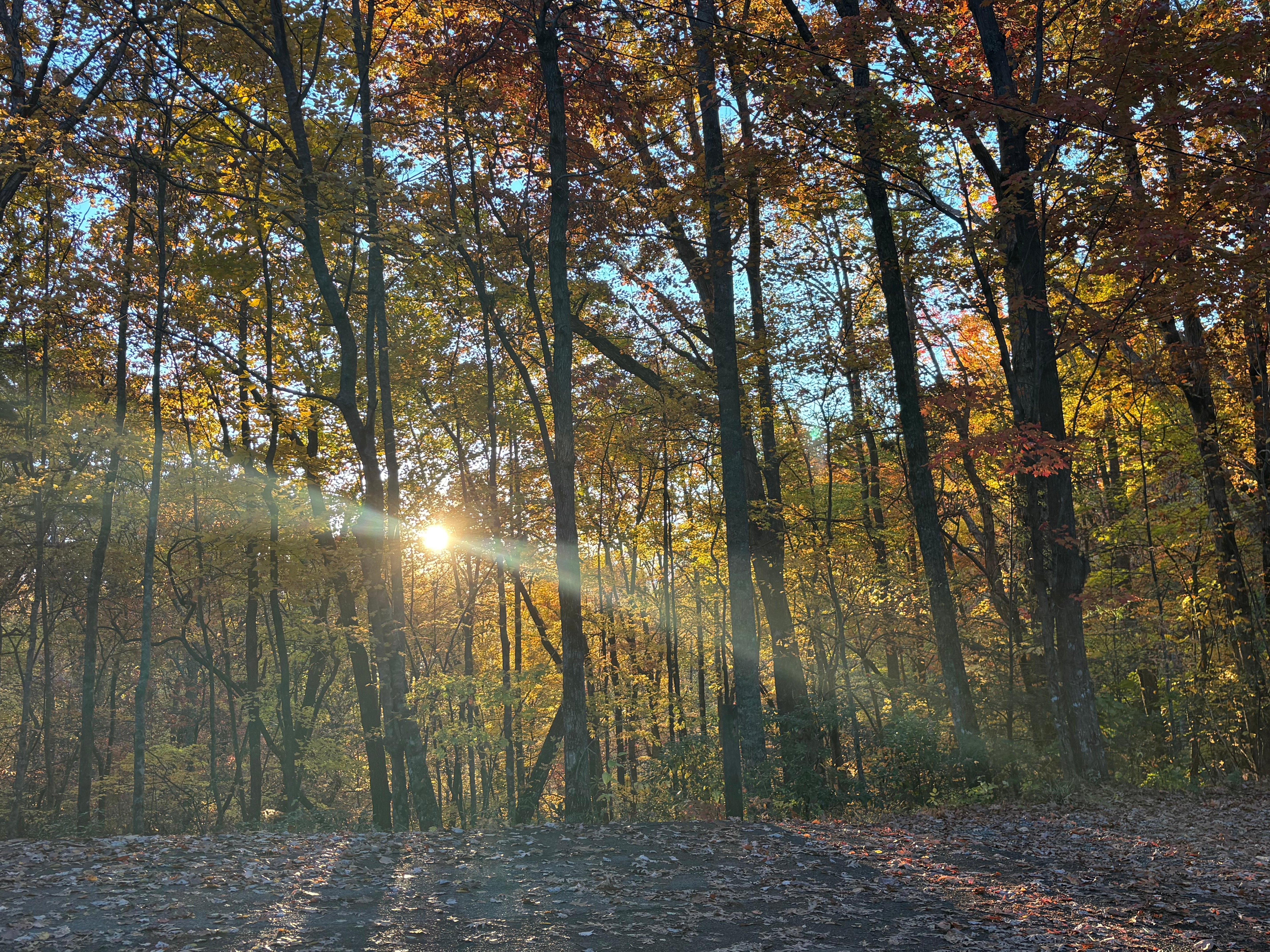 Sunrise on the porch.. coffee and rocking chairs!