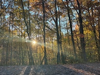 Sunrise on the porch.. coffee and rocking chairs!