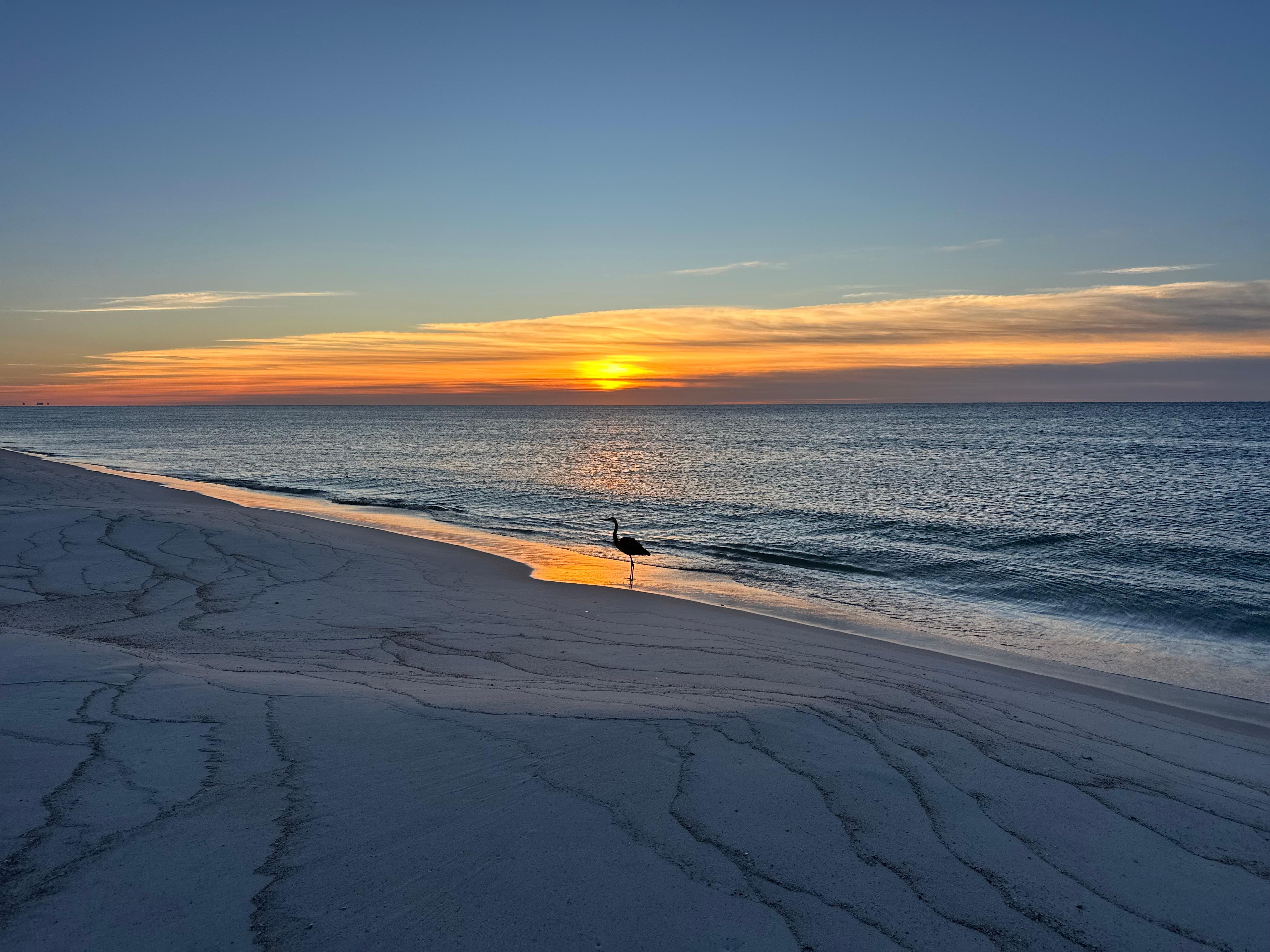 Sunrise on Johnson Beach