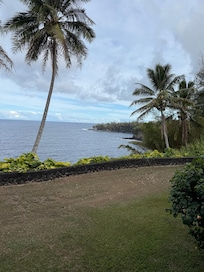 The backyard view