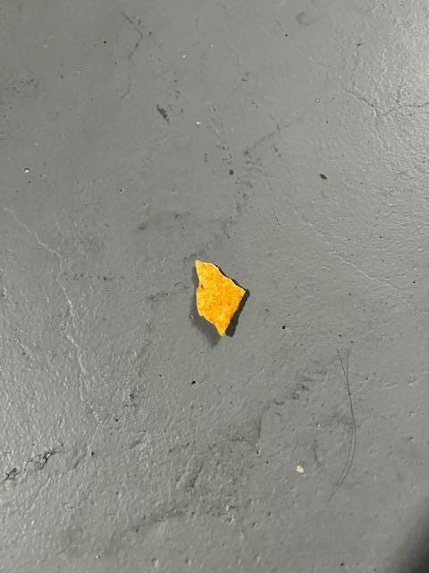 one of many leftover food on floor, counters and black dust bunnies under beds