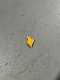 one of many leftover food on floor, counters and black dust bunnies under beds