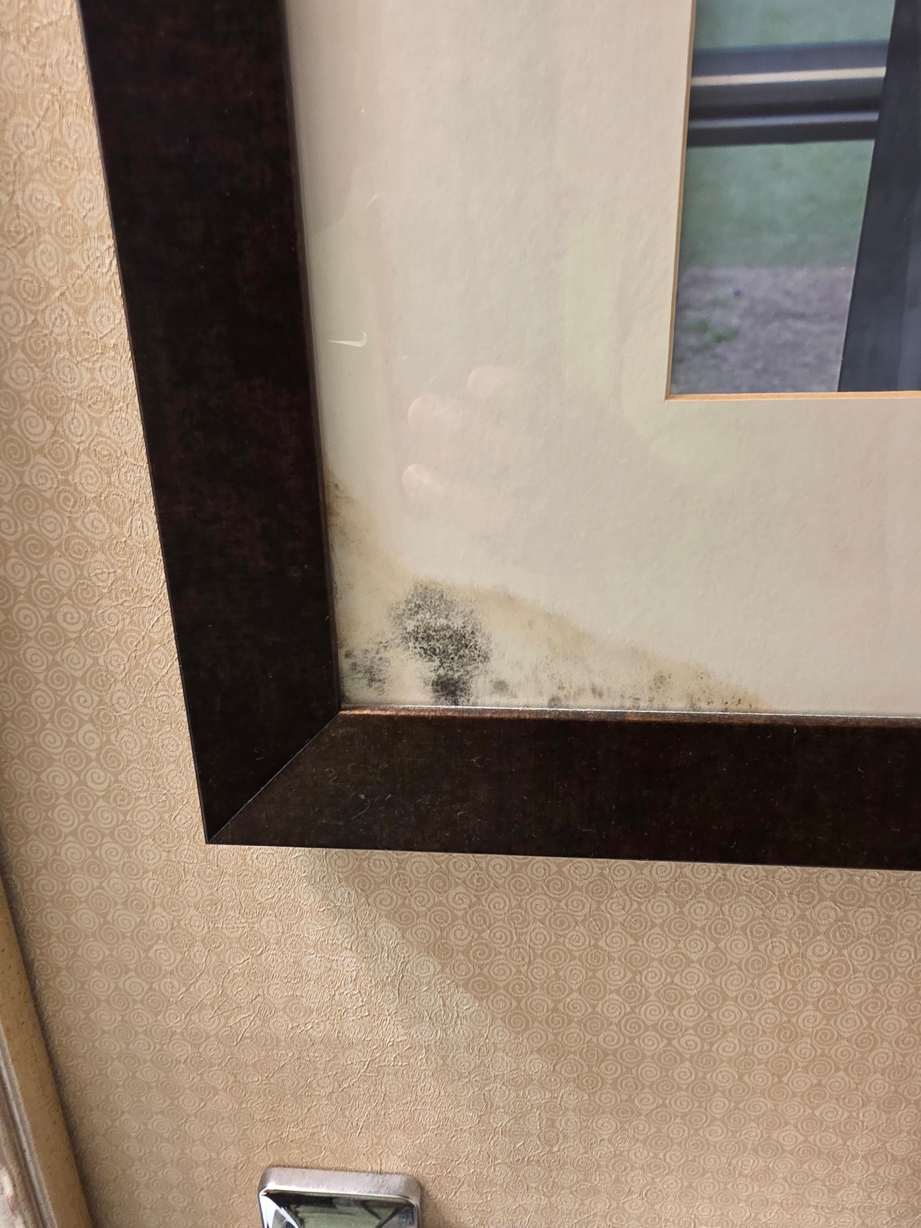 Mold in the restroom inside the picture frame.