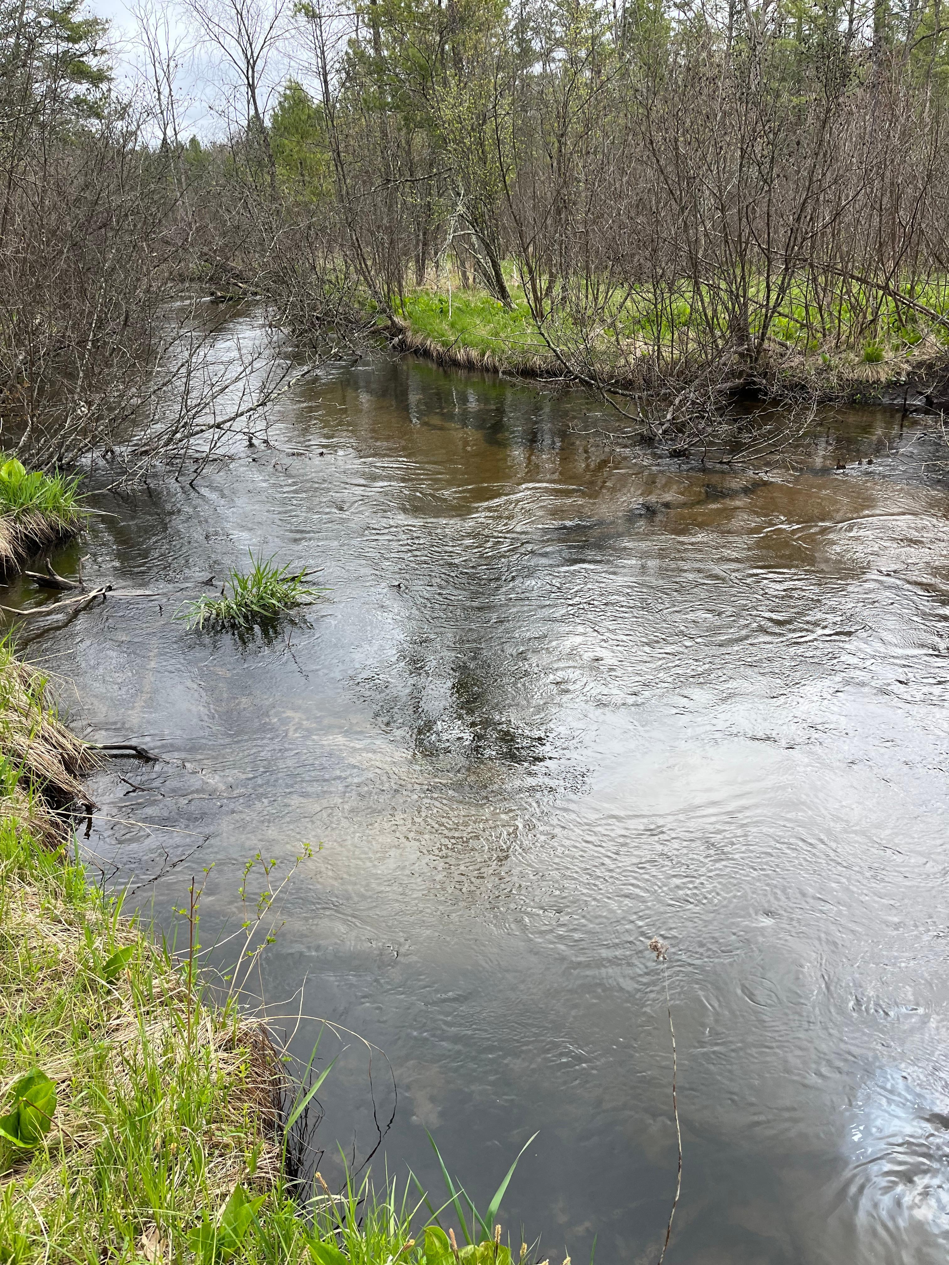 River view
