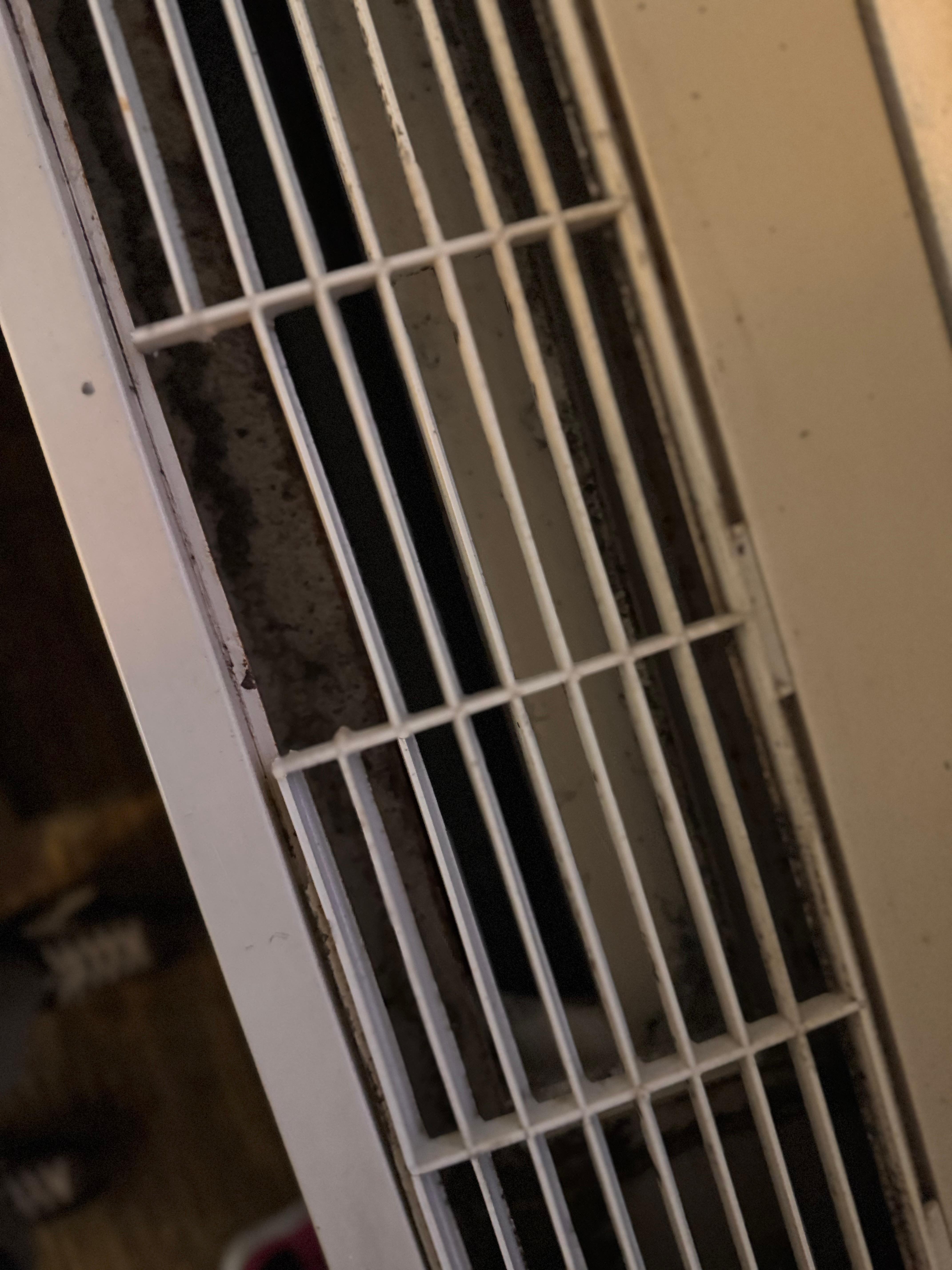 More mold and dirty HVAC