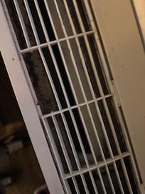 More mold and dirty HVAC