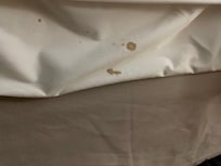 Blood stained bed skirt