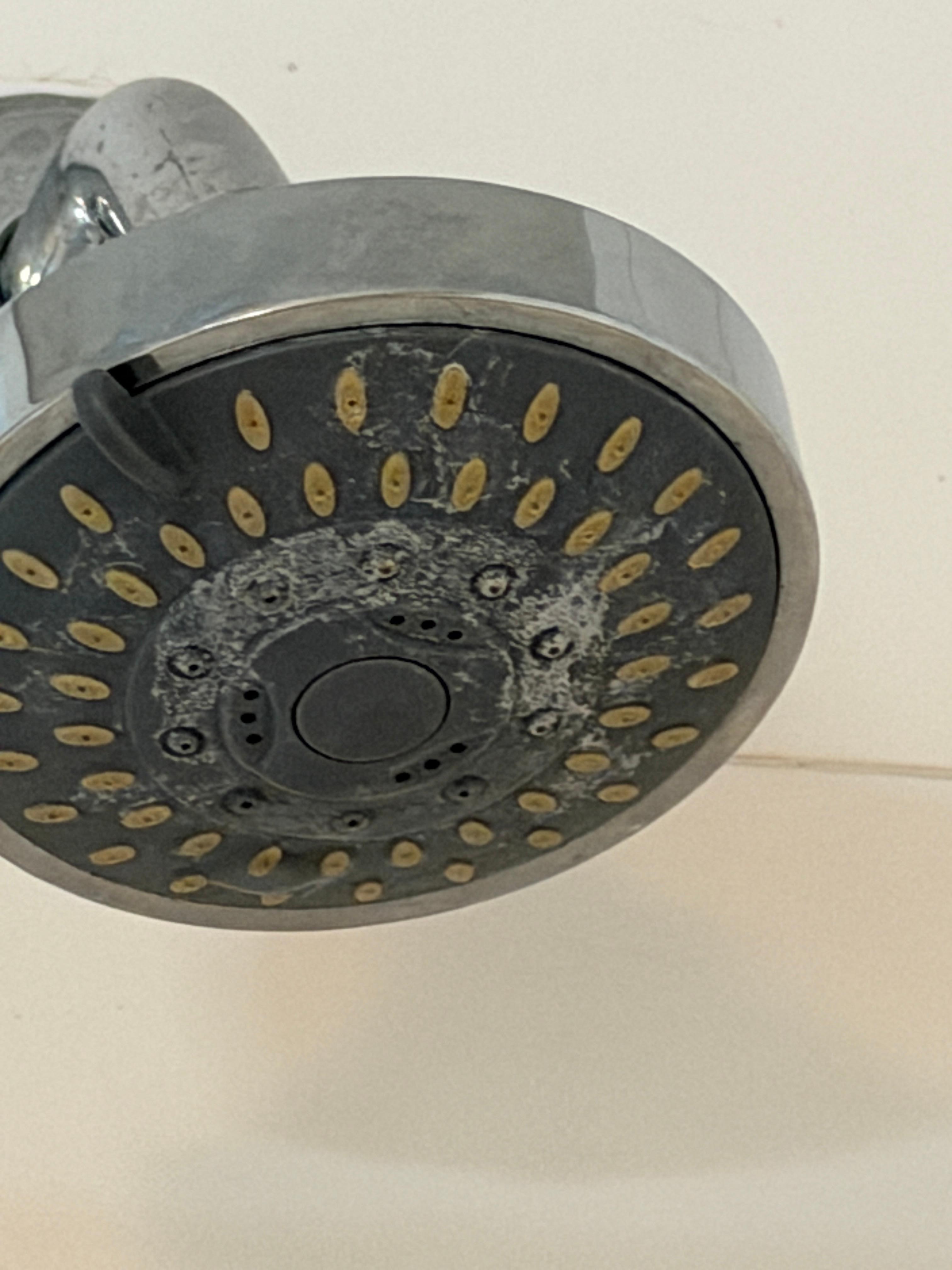Dirty shower head 