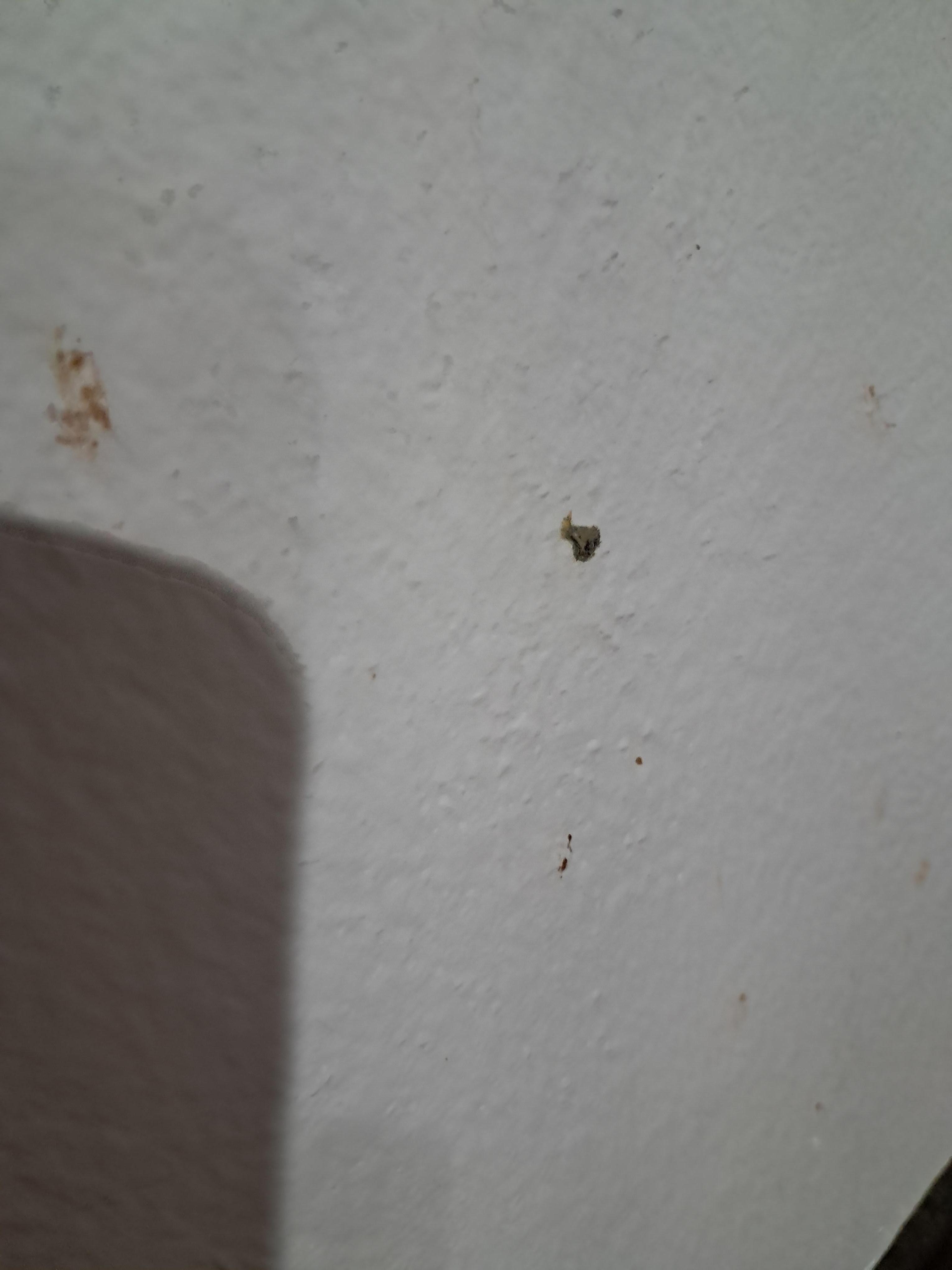 There were spots on the walls not sure what they were from.  