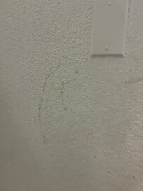 Dried silly string on walls