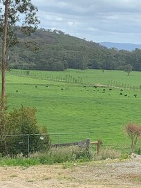 View from the cottage