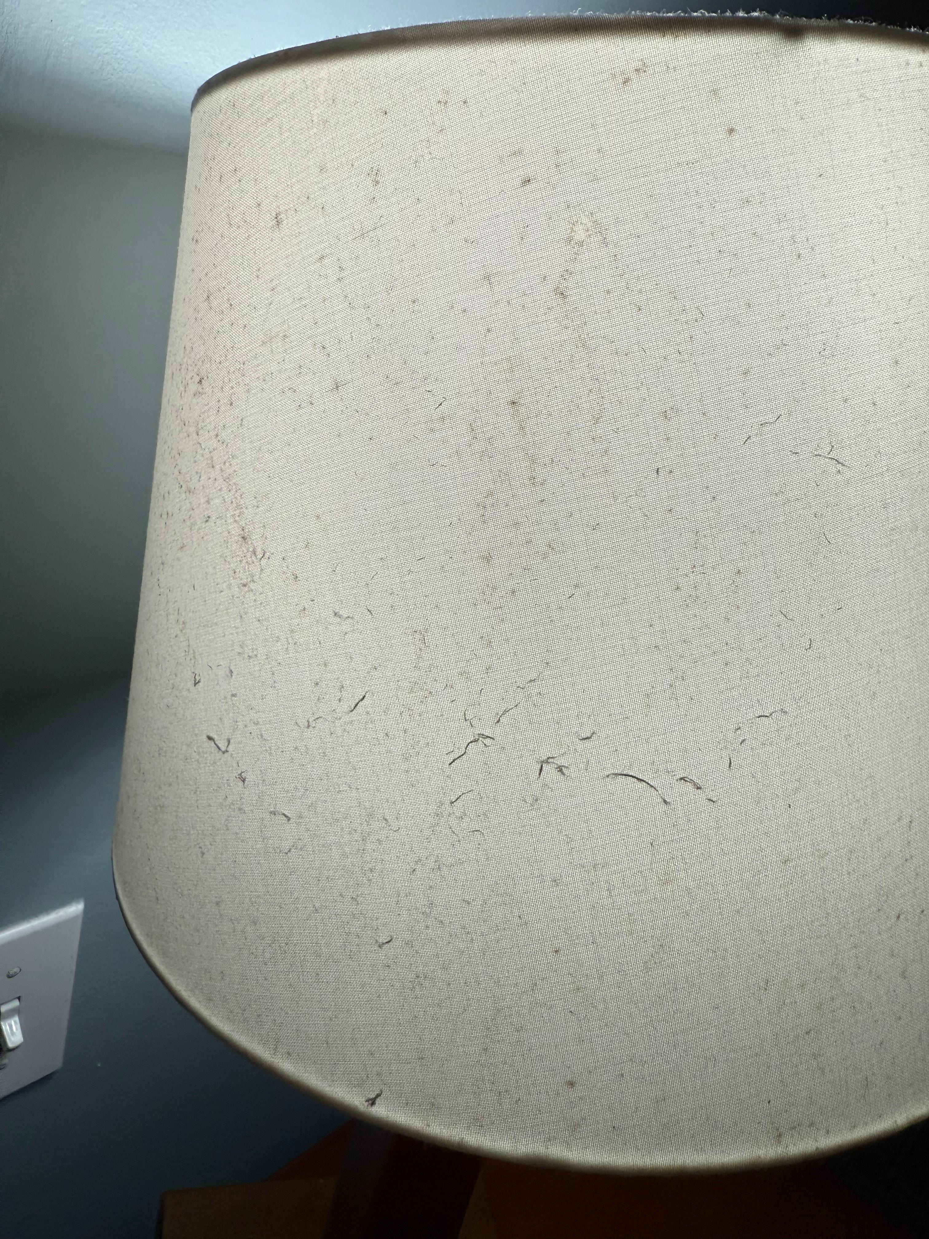 Lámparas llenas de polvo