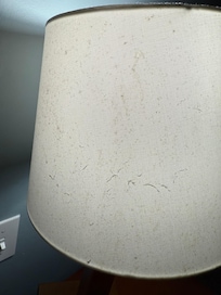 Lámparas llenas de polvo