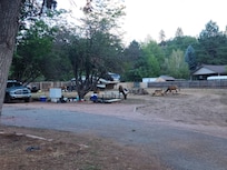 Watching the elk nearby