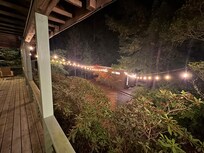 String lights