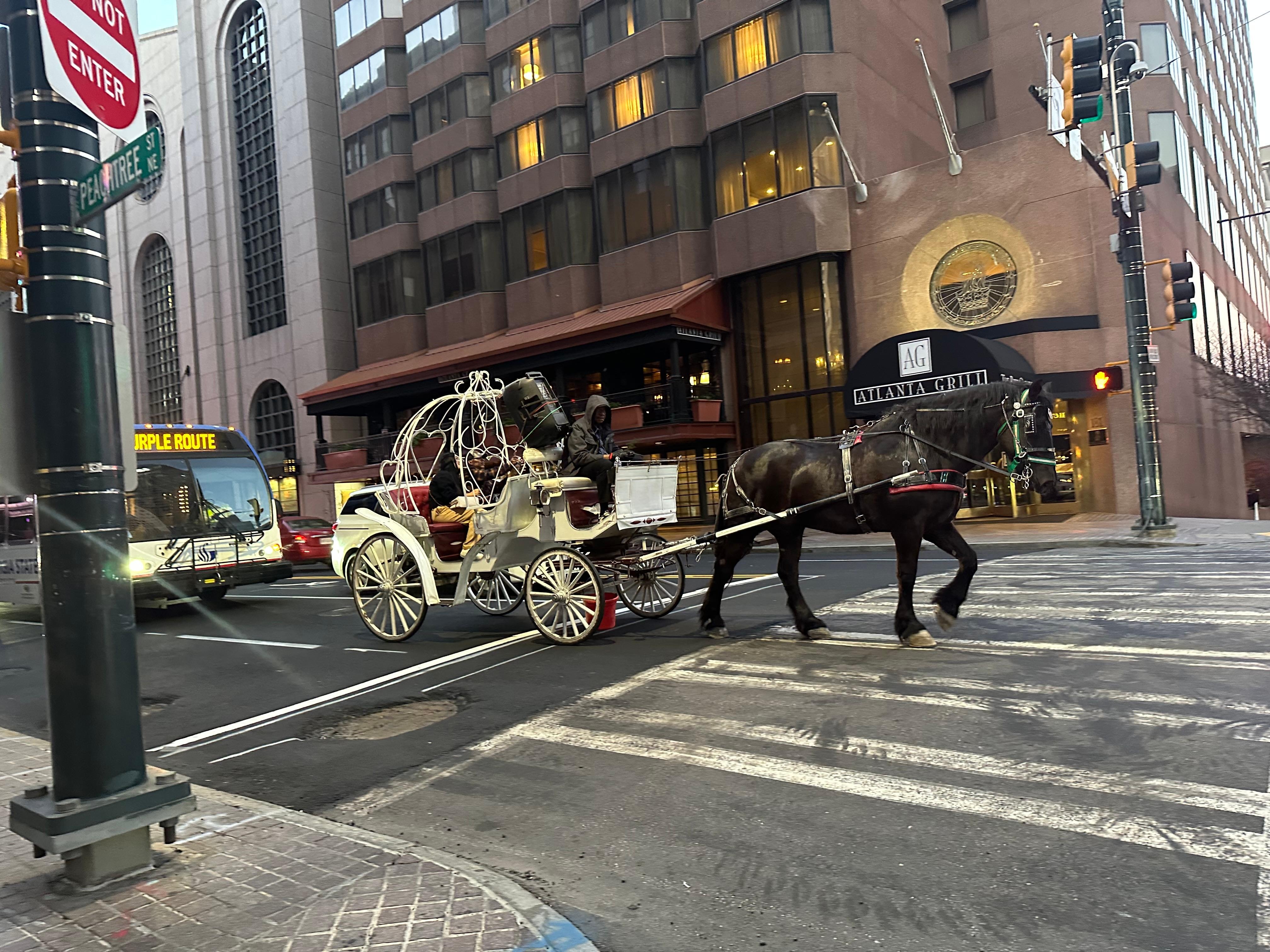 I walked out the front door one evening and saw this beautiful carriage!