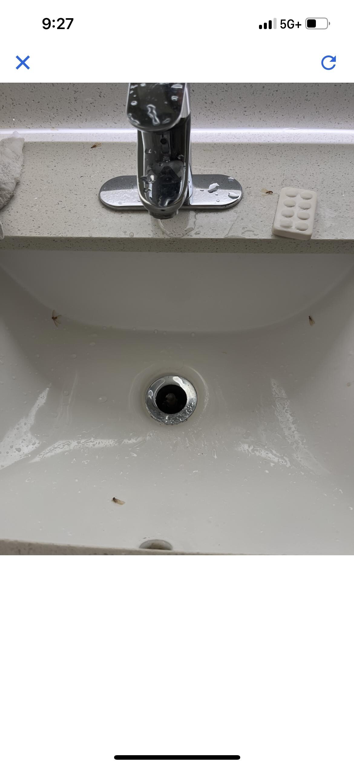 Mold on ceiling and water dripping from ceiling 