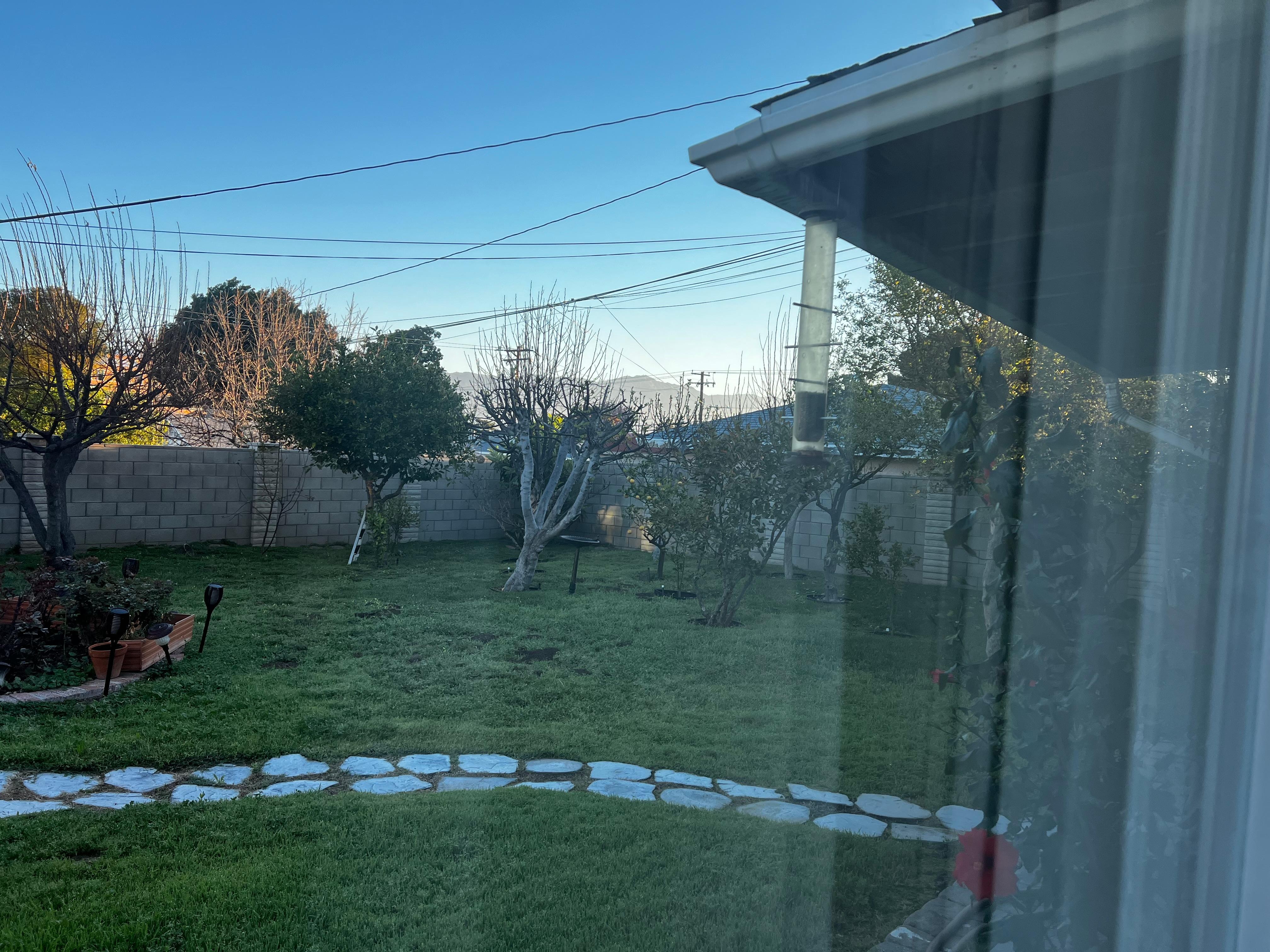 View from bedroom window 