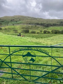 Nearby Connemara national park