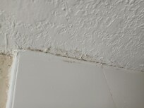 Mold in bathroom shower