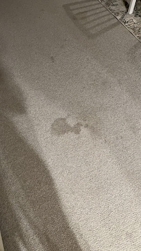 Pet stains throughout but expected