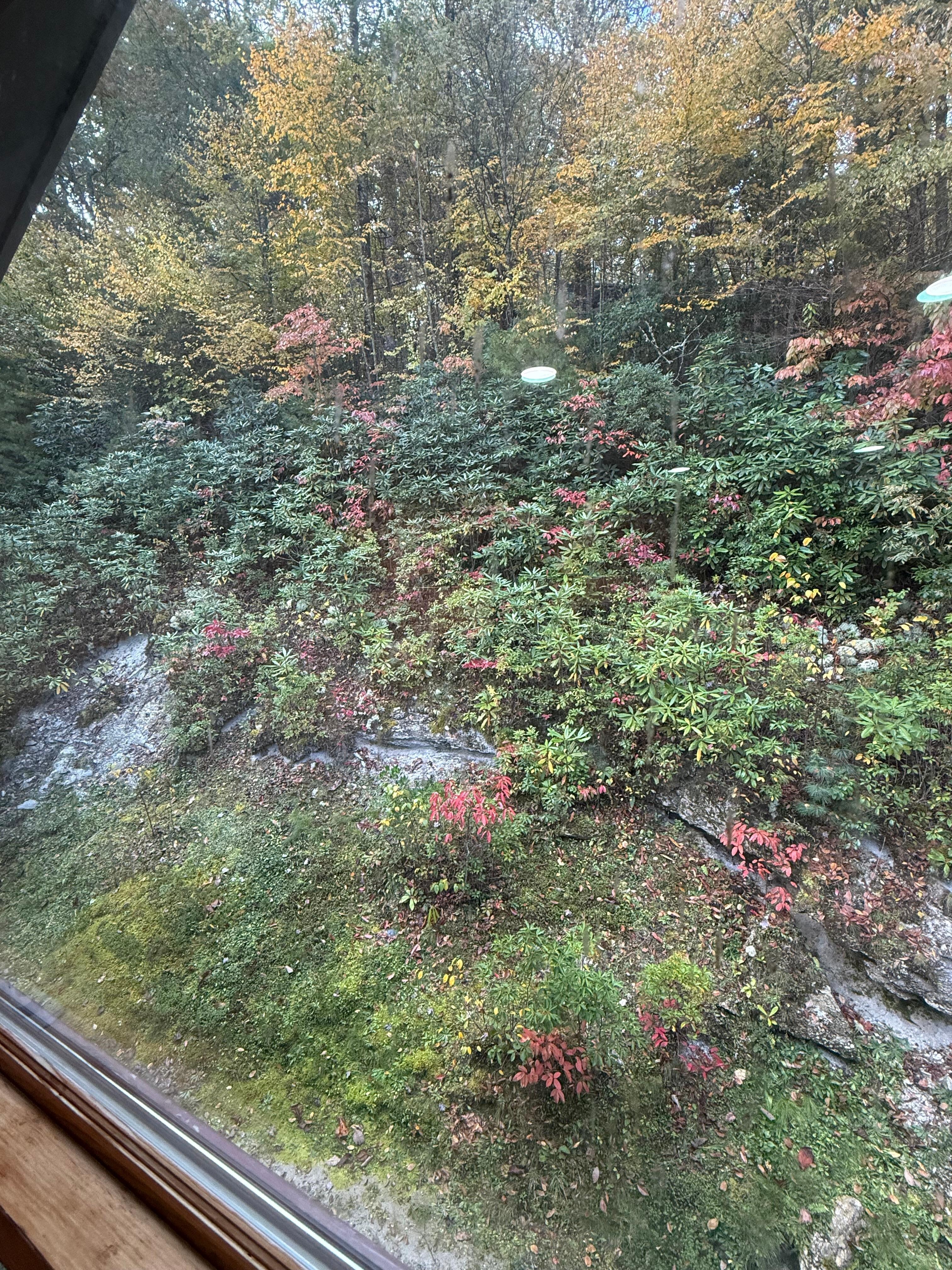 Colorful view from an upstairs window…