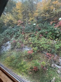 Colorful view from an upstairs windowâŠ