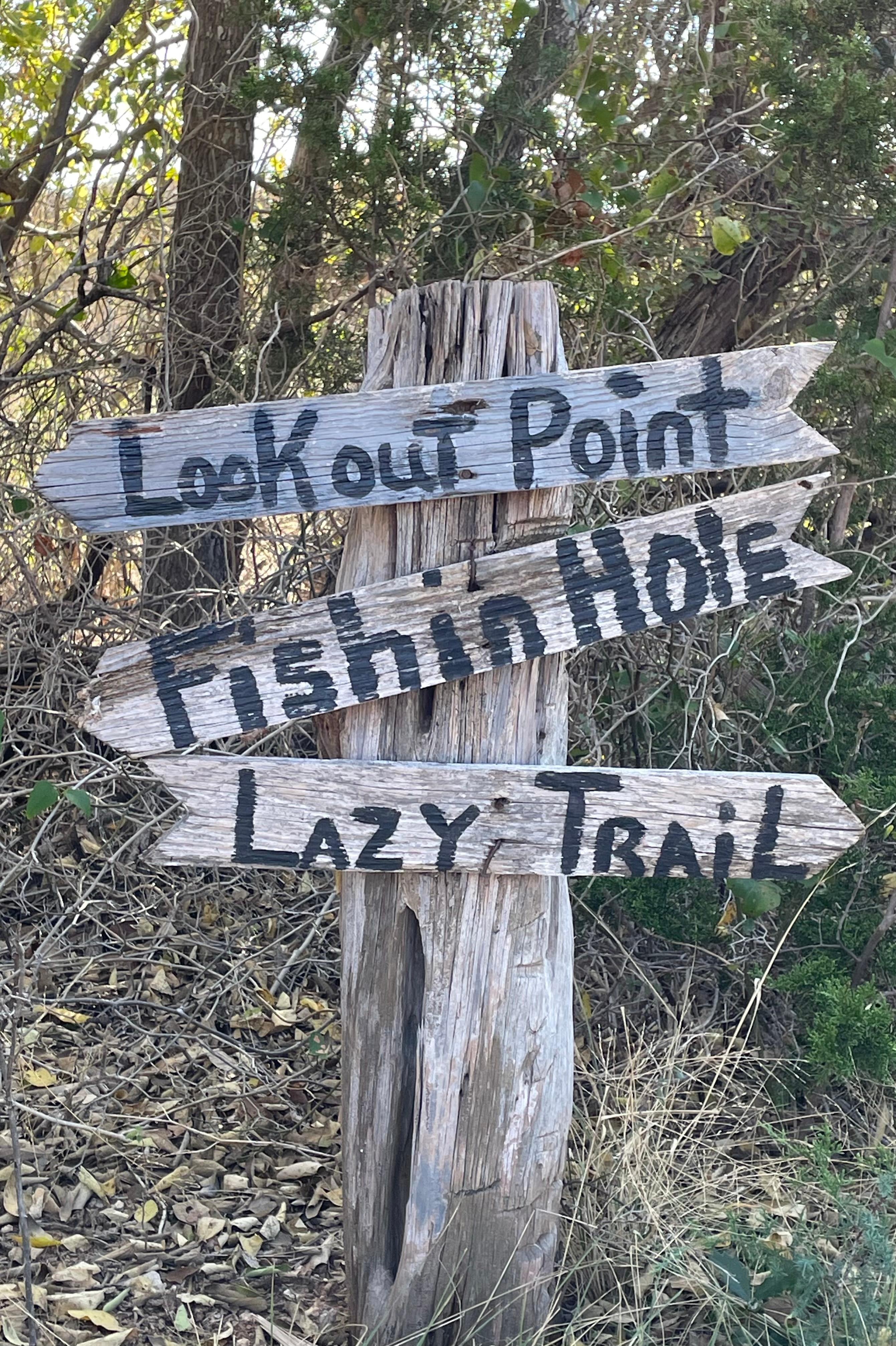 The trails behind the house. 