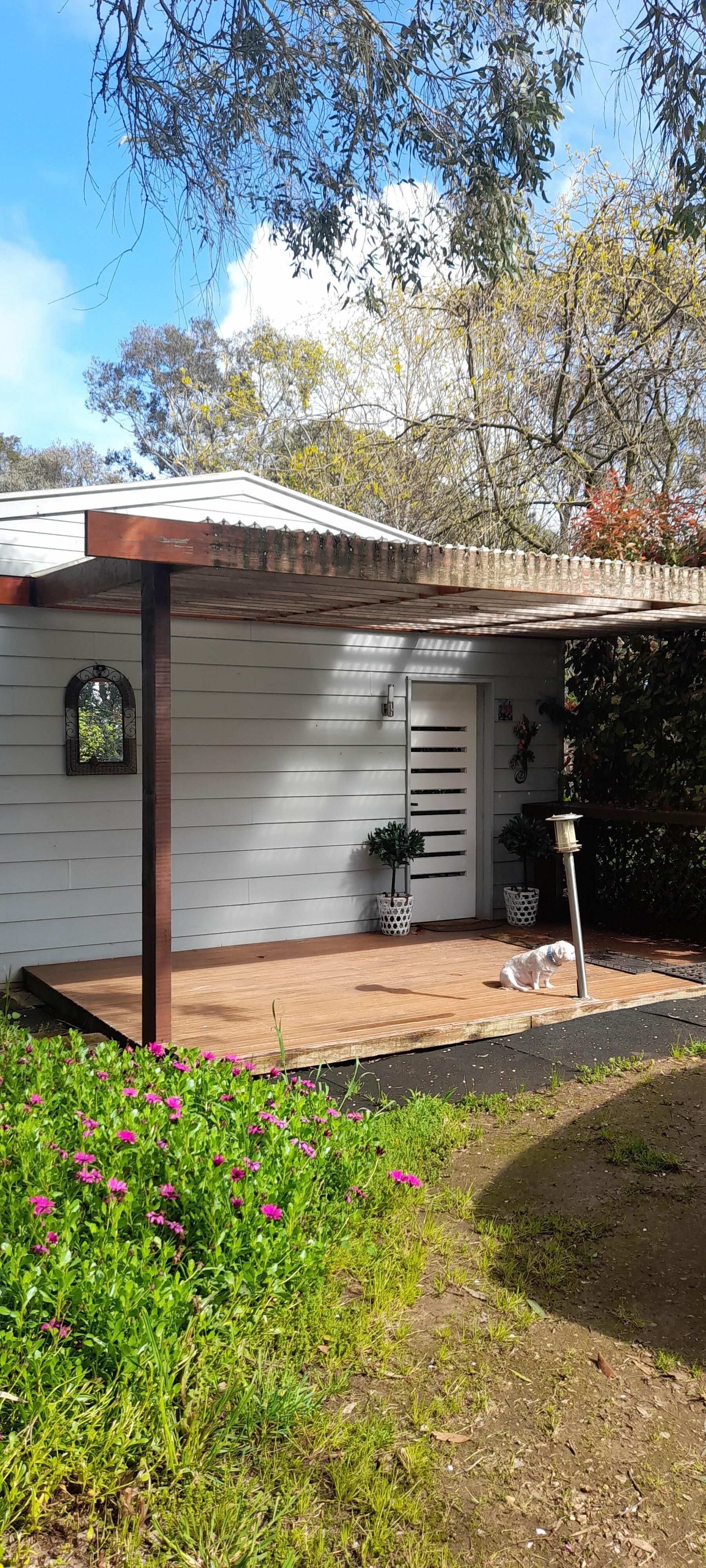 Bailey didnt want to leave