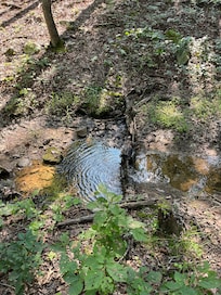 Seasonal creek