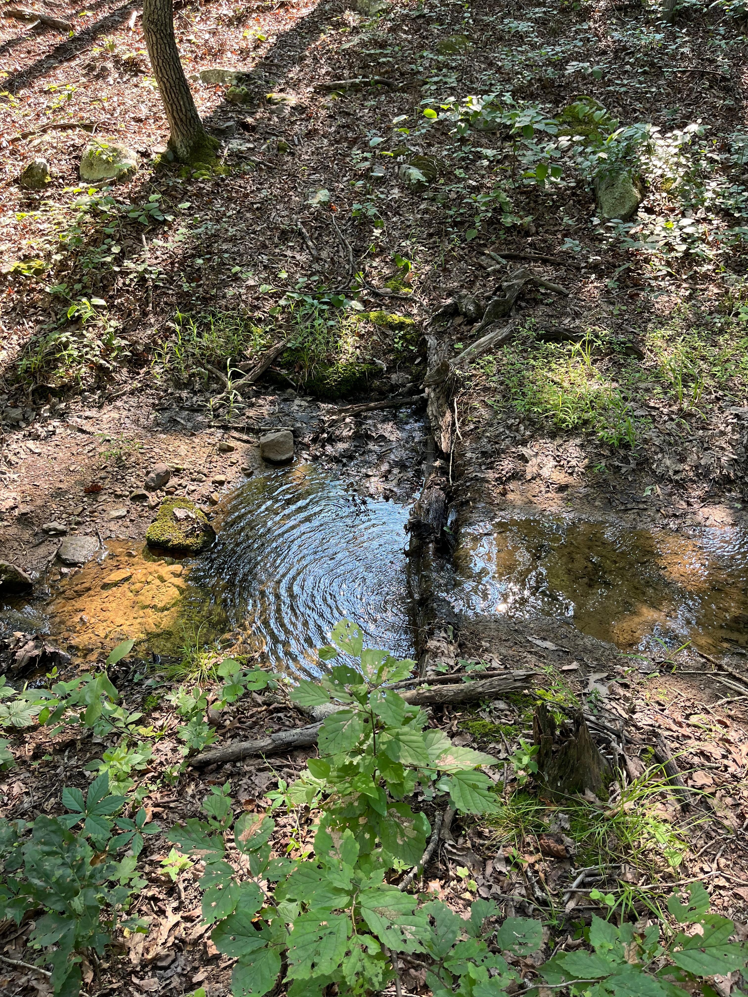 Seasonal creek