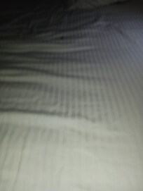 Roaches in the bed