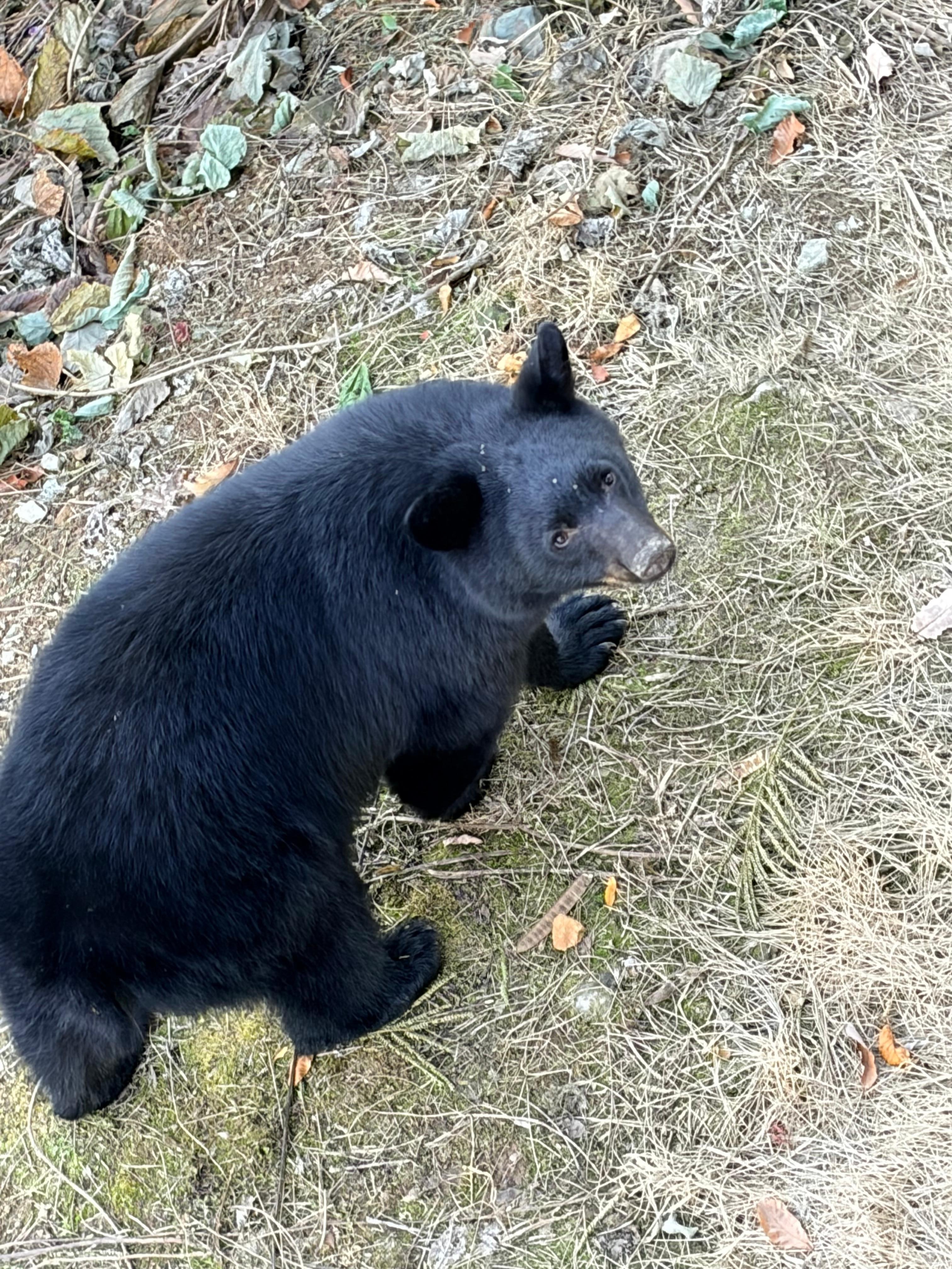 Our favorite visitor