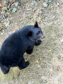 Our favorite visitor