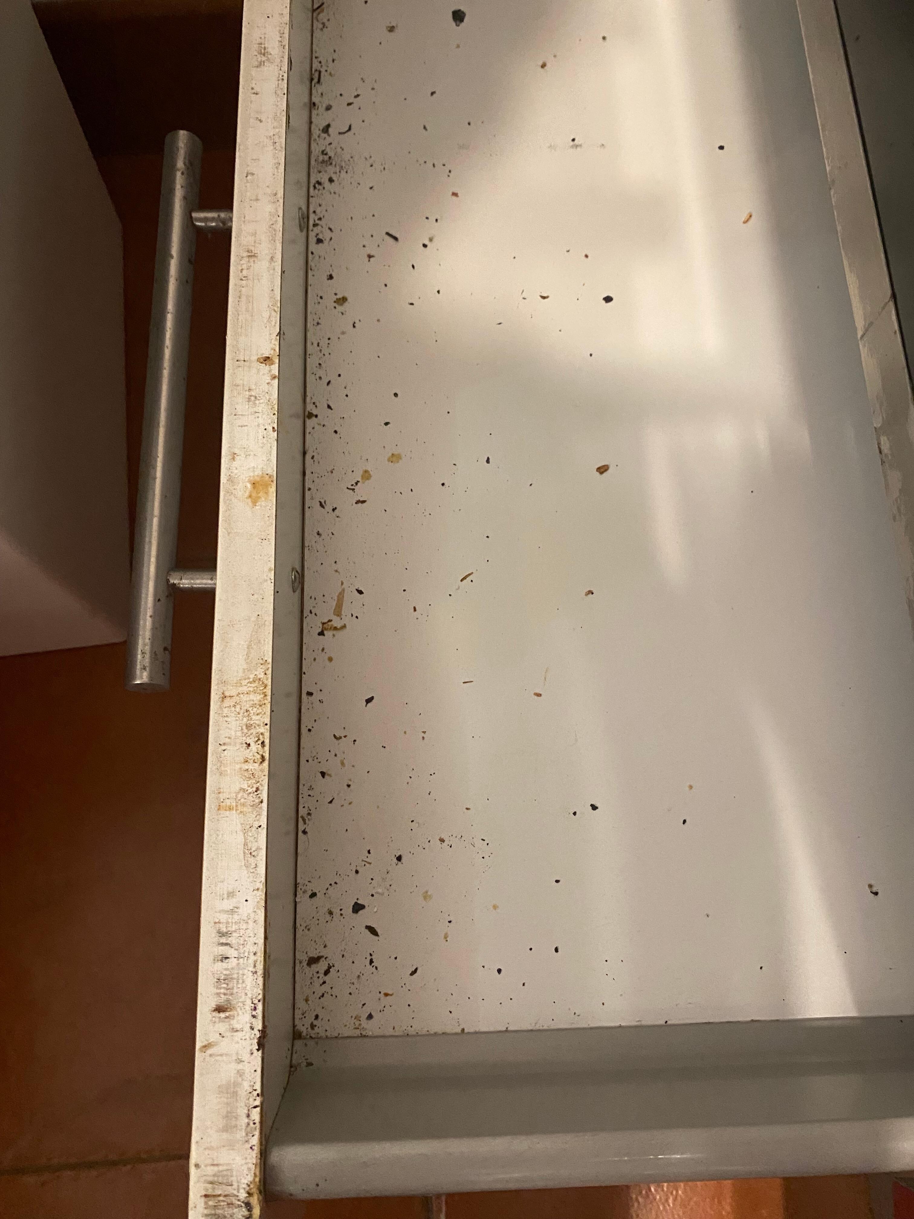 Filthy bottom drawer of range. 