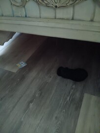 Asi encontramos la recamara