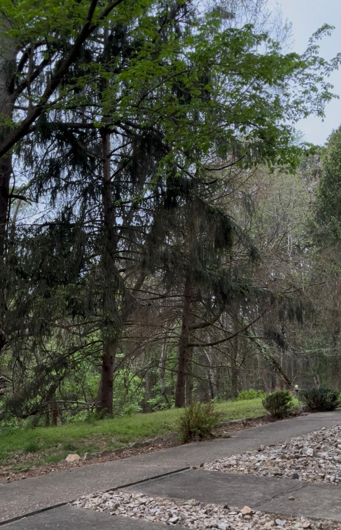 View from patio outside my first floor room.