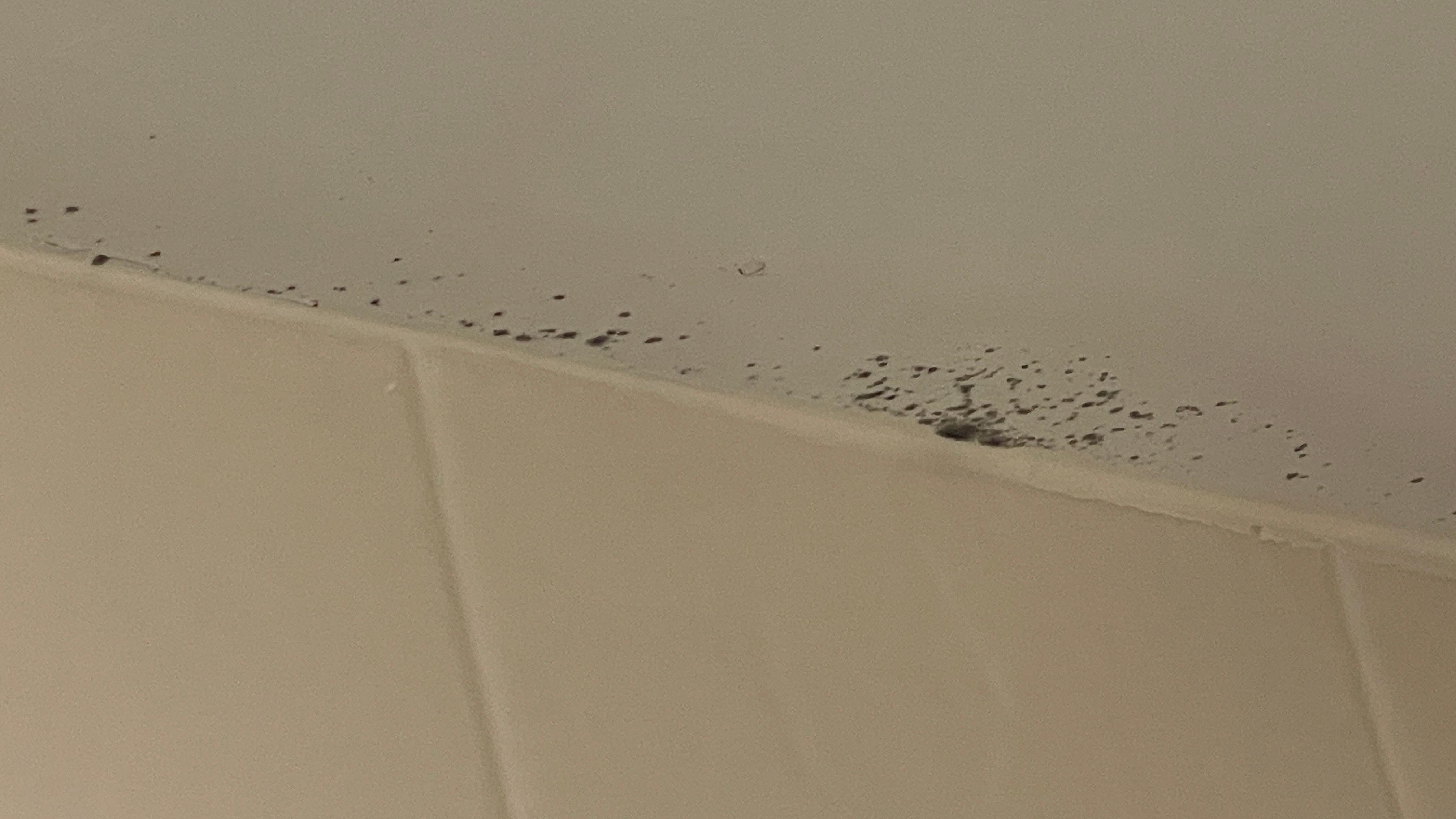 Mold
