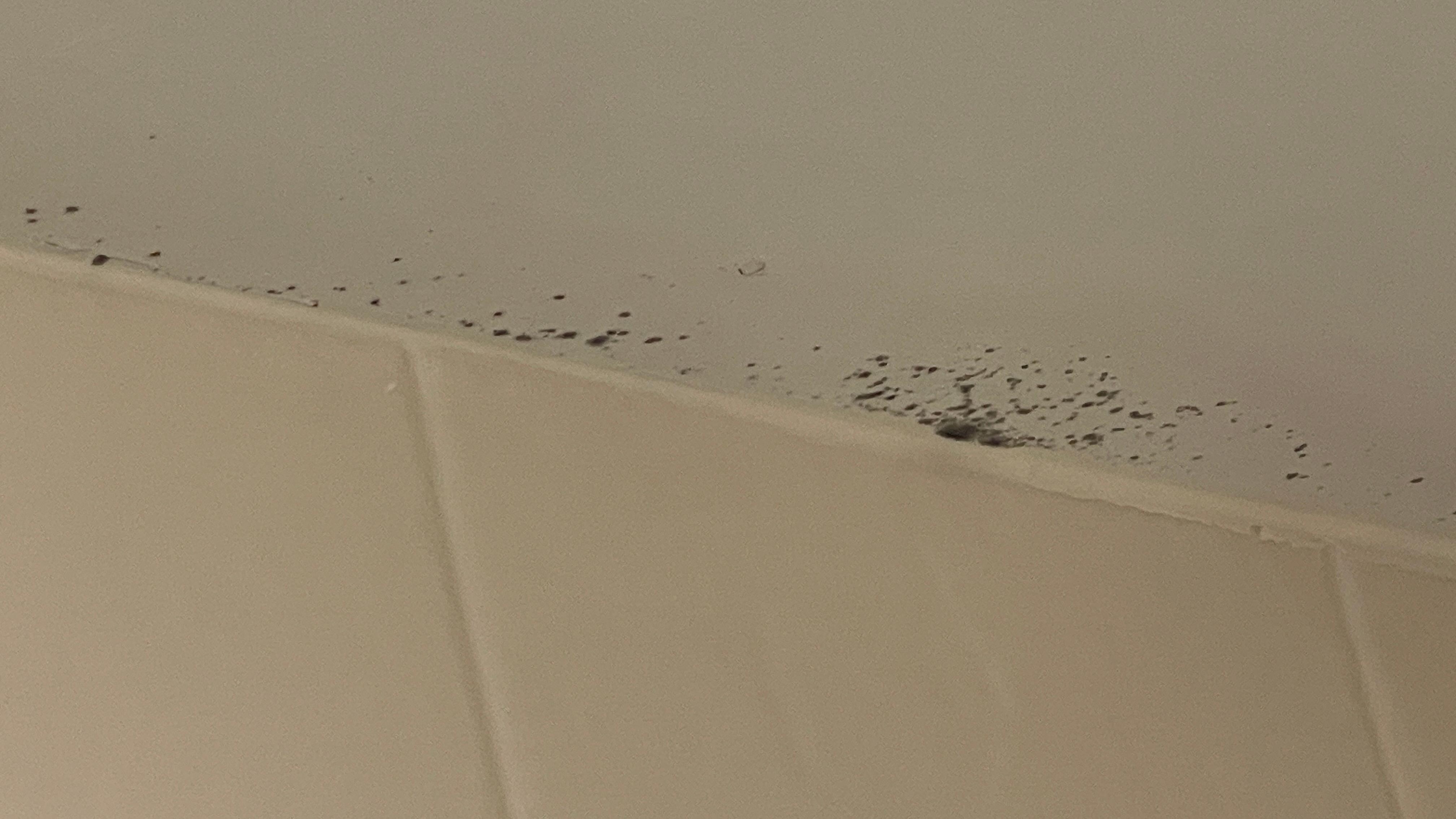 Mold