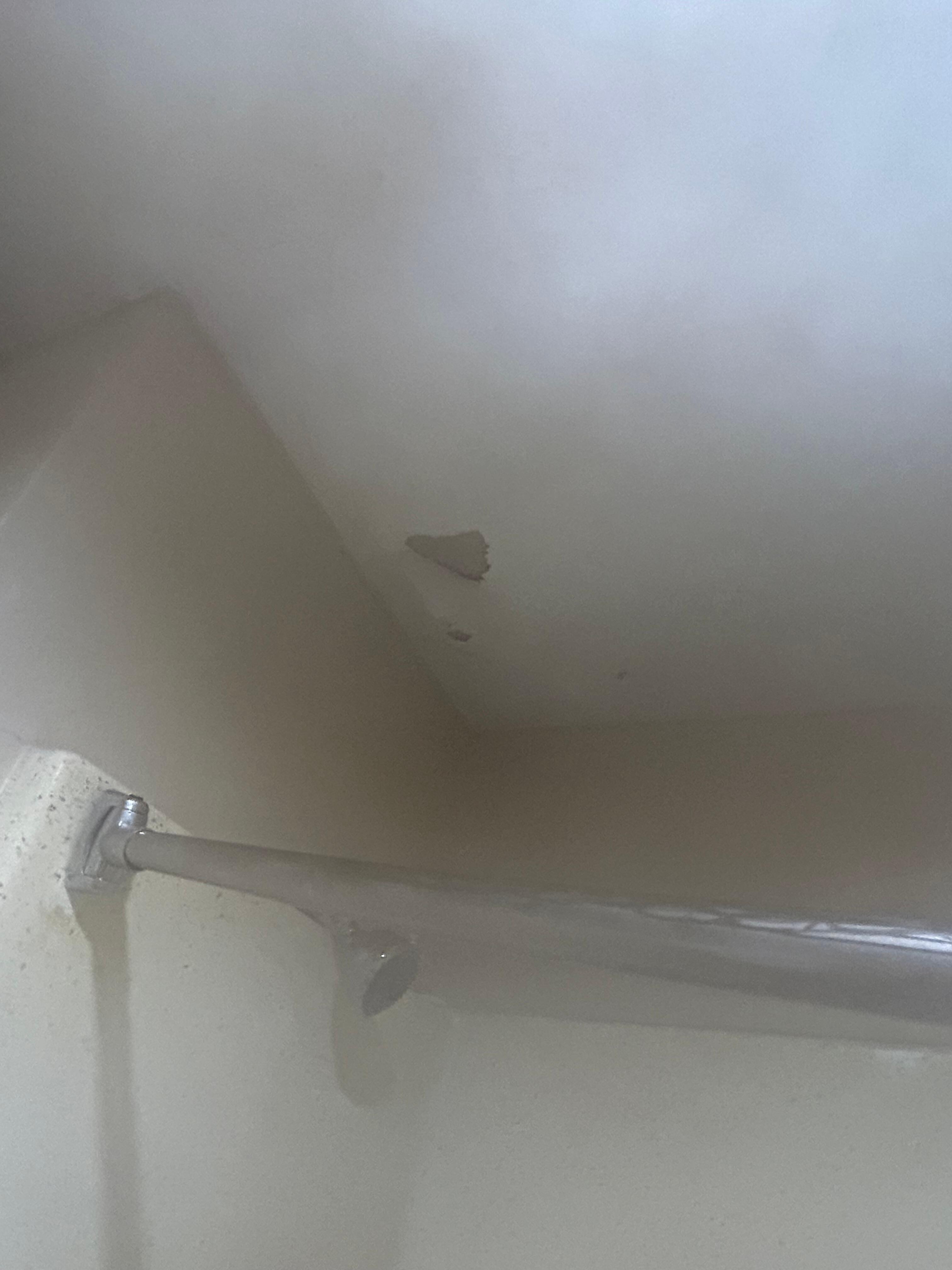 Pieces of the ceiling missing and a falling shower bar