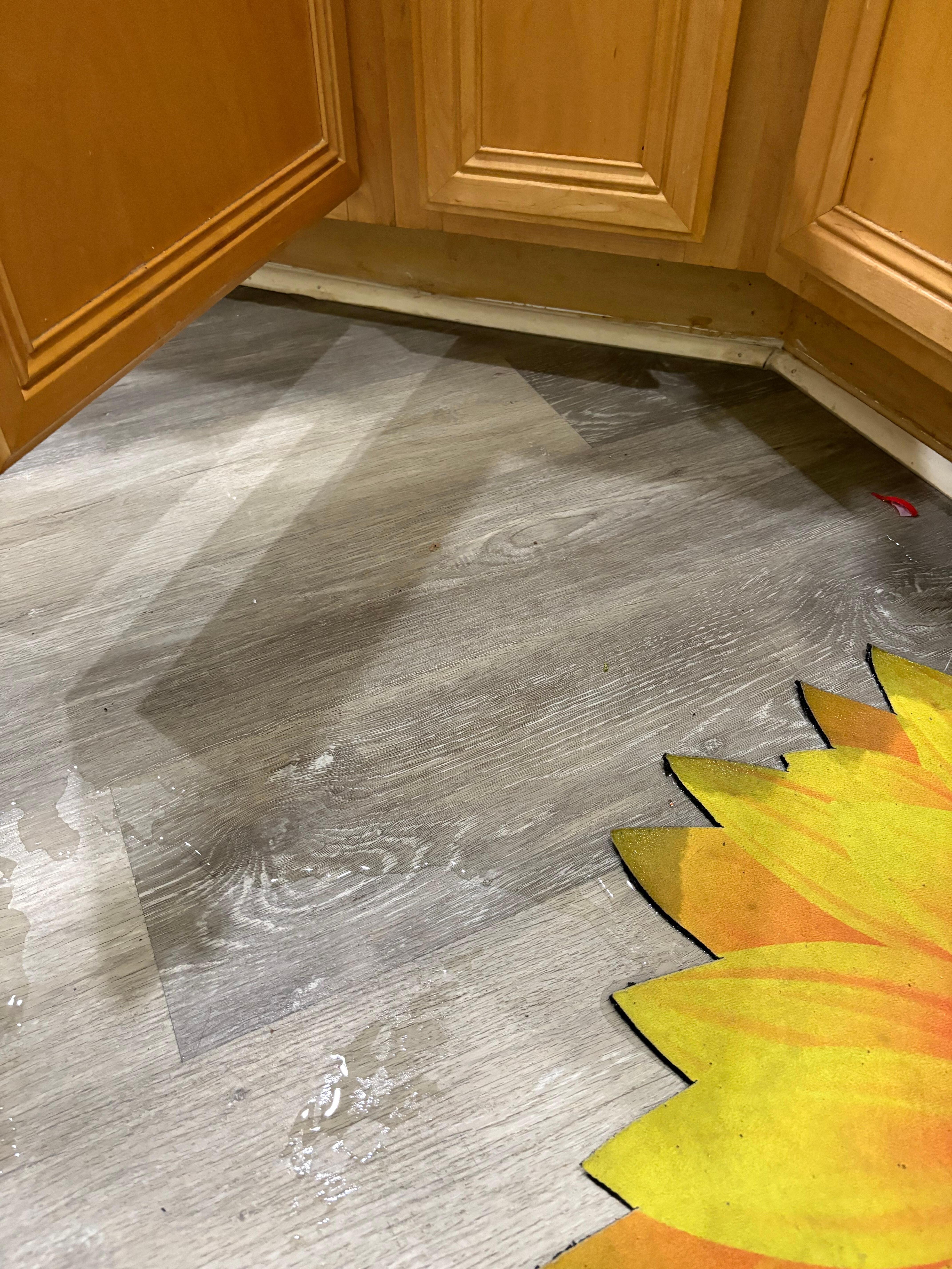 Leak under the kitchen sink